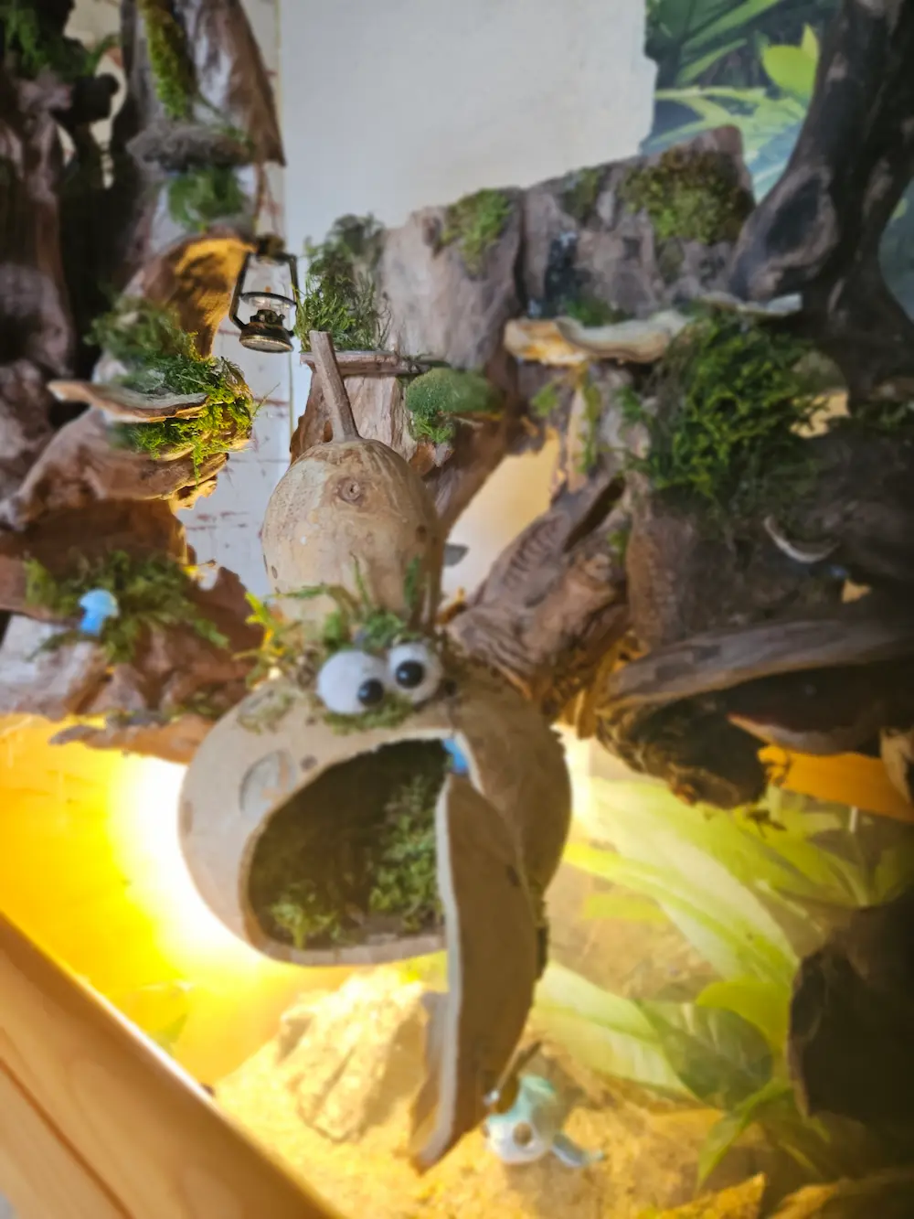 Habitat miniature dans une courge évidée con porte en bois, ojos décoratifs et lumière chaude