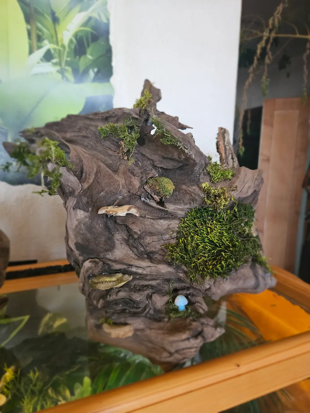 Sanctuaire complexe en écorce et bois avec lanterne miniature et petits esprits sur des champignons