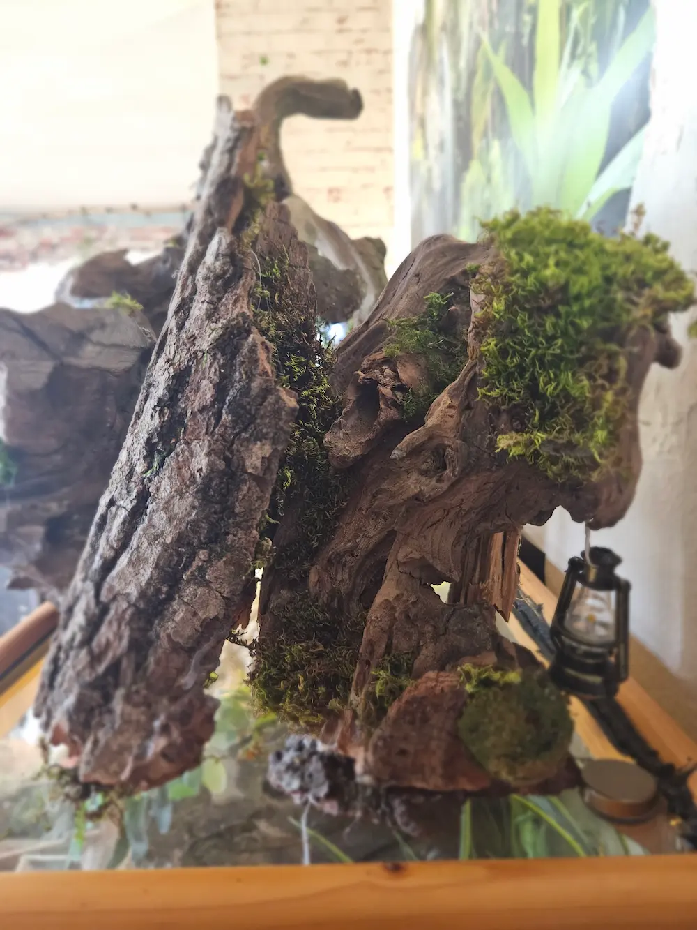 Créations lumineuses pour le sommeil : Veilleur de nuit en magnolia par Rikunali